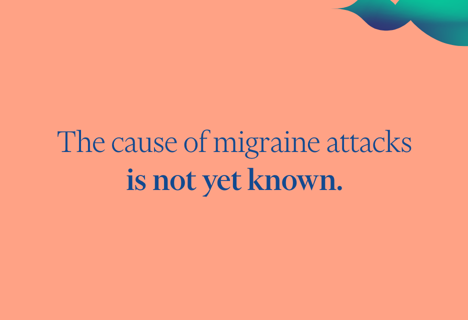 Highlights - FACT SHEET ON MIGRAINE - 3